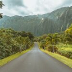 Er ukuleler fra Hawaii