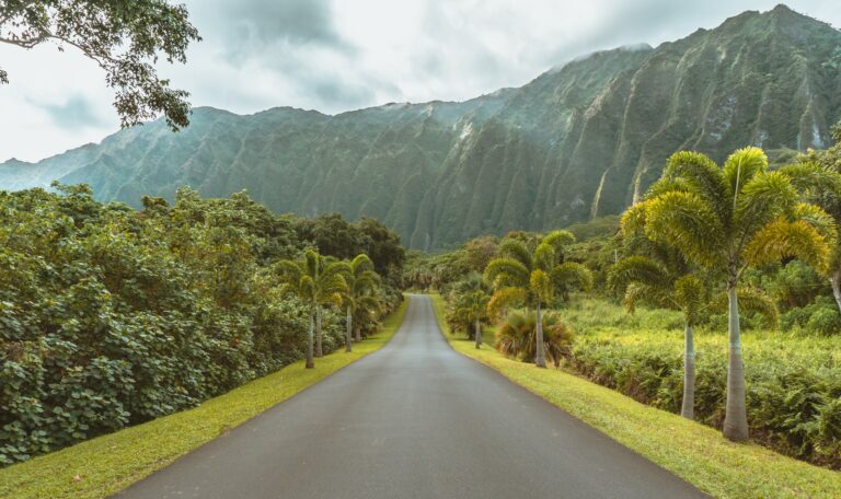 Er ukuleler fra Hawaii